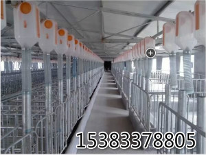 �B(y��ng)ֳ�i��(ch��ng)�Ԅ�(d��ng)���Ͼ�